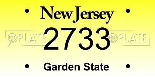 2733 New Jersey License Plate