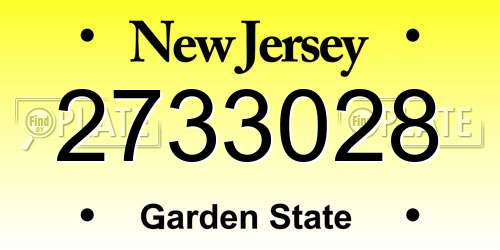 2733028 New Jersey License Plate