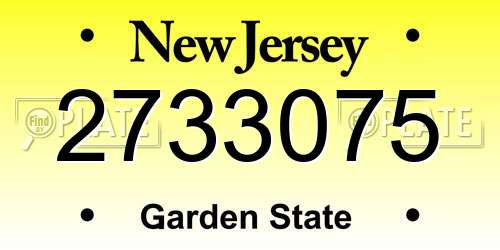 2733075 New Jersey License Plate