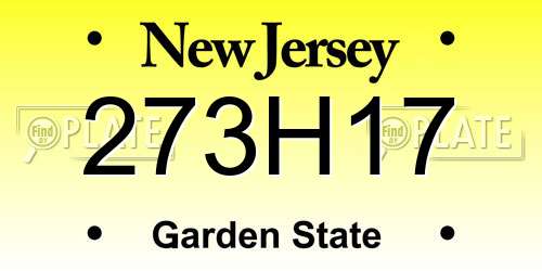 273H17 New Jersey License Plate
