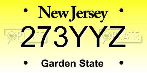 273YYZ New Jersey License Plate