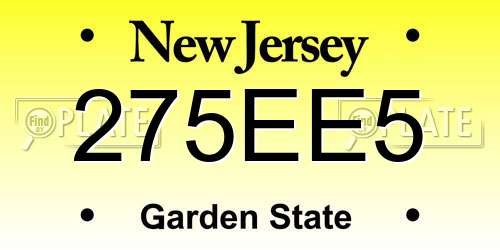 275EE5 New Jersey License Plate