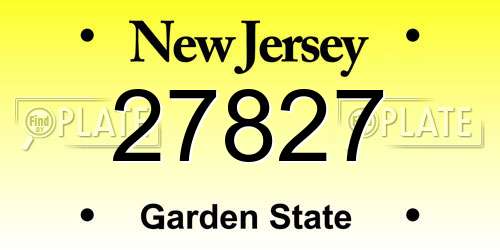 27827 New Jersey License Plate