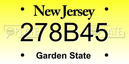 278B45 New Jersey License Plate
