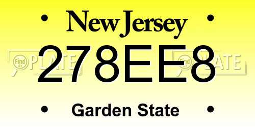 278EE8 New Jersey License Plate