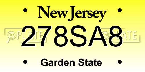 278SA8 New Jersey License Plate