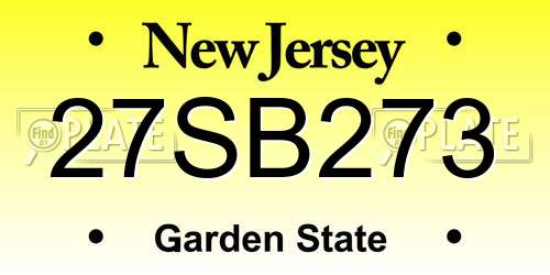 27SB273 New Jersey License Plate