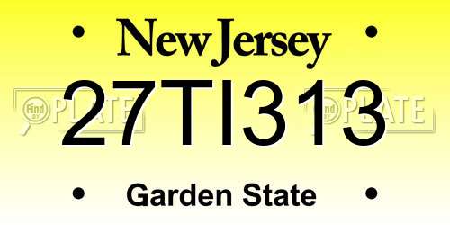 27TI313 New Jersey License Plate