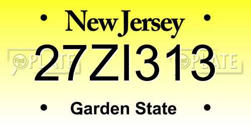 27ZI313 New Jersey License Plate