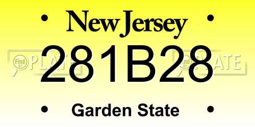 281B28 New Jersey License Plate