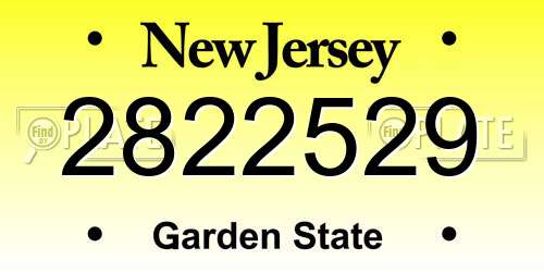 2822529 New Jersey License Plate