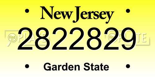 2822829 New Jersey License Plate