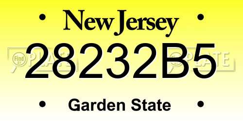 28232B5 New Jersey License Plate
