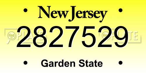 2827529 New Jersey License Plate