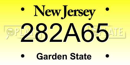 282A65 New Jersey License Plate