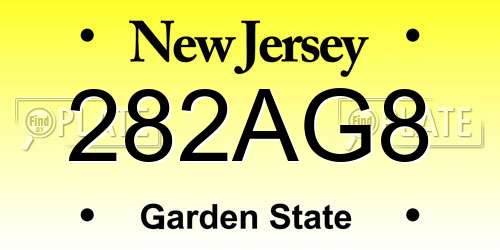 282AG8 New Jersey License Plate