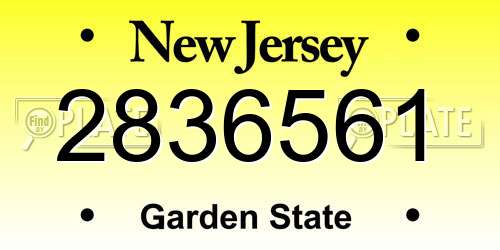 2836561 New Jersey License Plate
