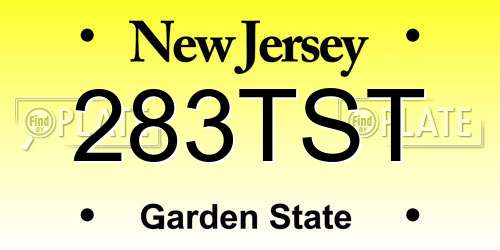 283TST New Jersey License Plate