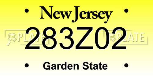 283Z02 New Jersey License Plate