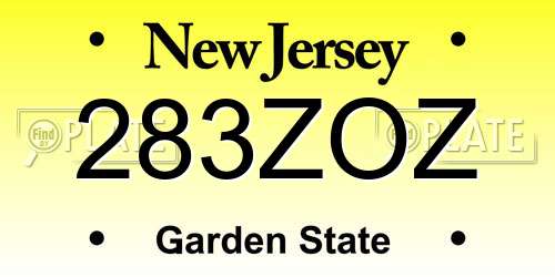 283ZOZ New Jersey License Plate