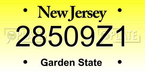 28509Z1 New Jersey License Plate