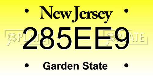 285EE9 New Jersey License Plate