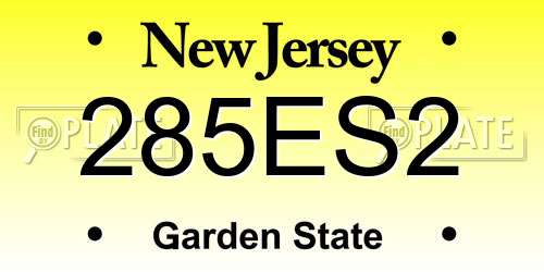 285ES2 New Jersey License Plate
