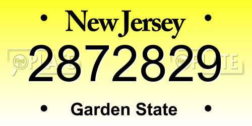 2872829 New Jersey License Plate