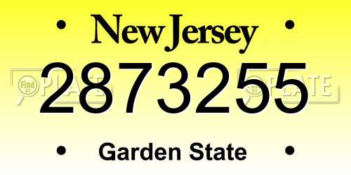 2873255 New Jersey License Plate