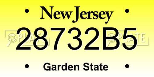 28732B5 New Jersey License Plate
