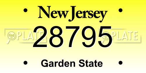 28795 New Jersey License Plate