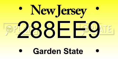288EE9 New Jersey License Plate