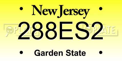 288ES2 New Jersey License Plate