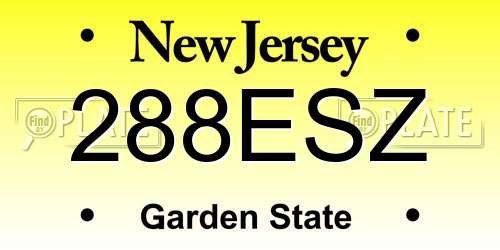 288ESZ New Jersey License Plate
