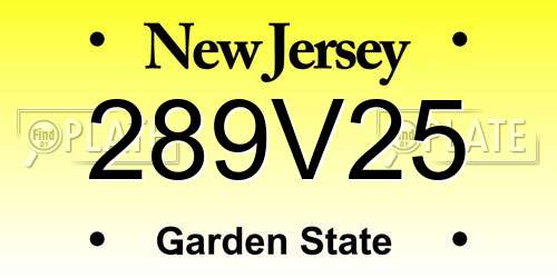 289V25 New Jersey License Plate