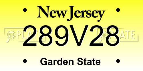 289V28 New Jersey License Plate