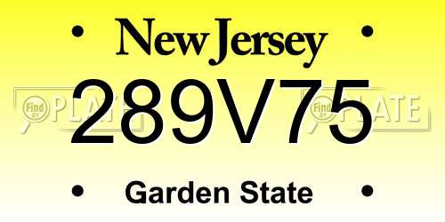289V75 New Jersey License Plate