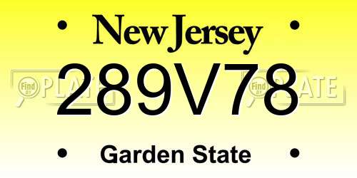 289V78 New Jersey License Plate