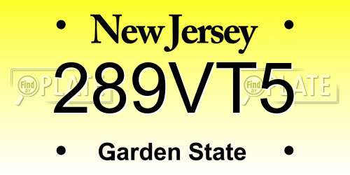 289VT5 New Jersey License Plate