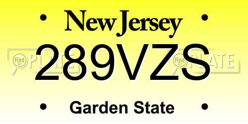 289VZS New Jersey License Plate