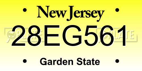 28EG561 New Jersey License Plate