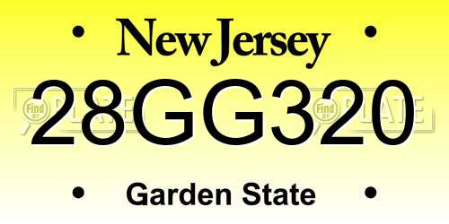 28GG320 New Jersey License Plate