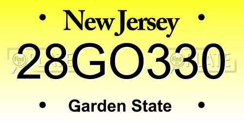 28GO330 New Jersey License Plate