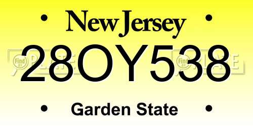28OY538 New Jersey License Plate