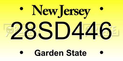 28SD446 New Jersey License Plate