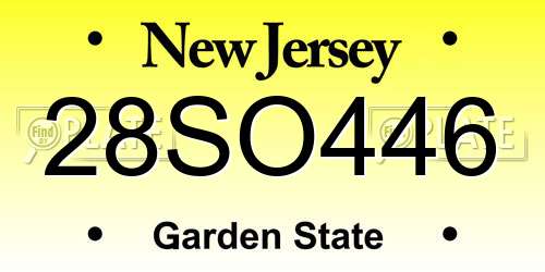 28SO446 New Jersey License Plate
