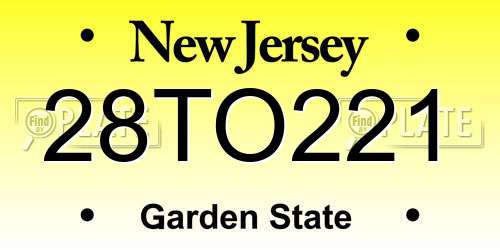 28TO221 New Jersey License Plate