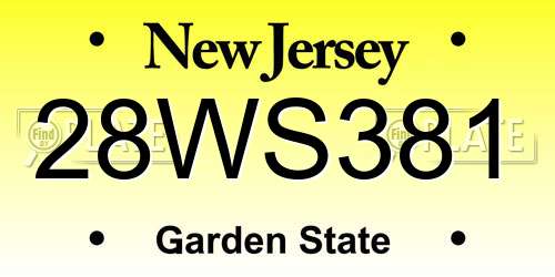 28WS381 New Jersey License Plate