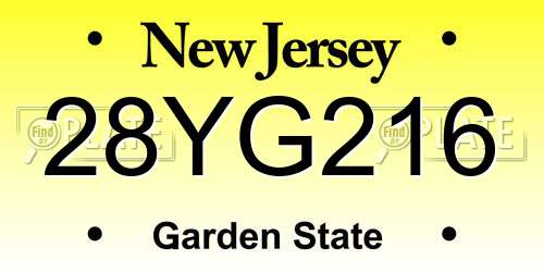 28YG216 New Jersey License Plate