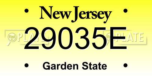 29035E New Jersey License Plate